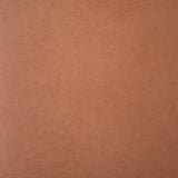 Clay Microskin Swatch