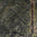 Forest Green Marble Polished Swatch