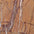 Mocha Marble Swatch