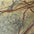 Forest Green Marble Matt Swatch