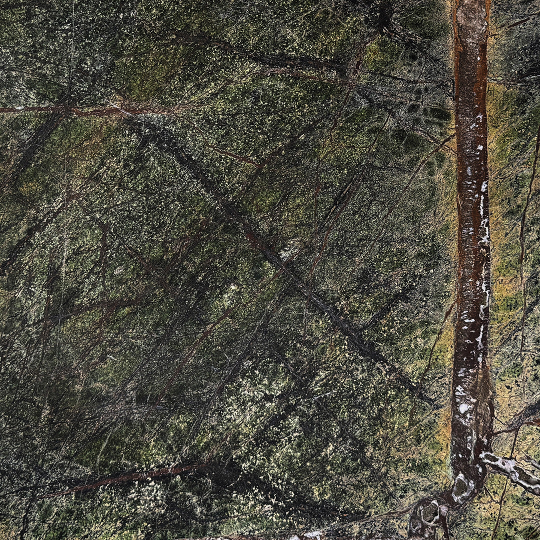 Forest Green Marble Polished Swatch