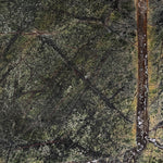 Forest Green Marble Polished Swatch
