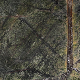 Forest Green Marble Polished Swatch