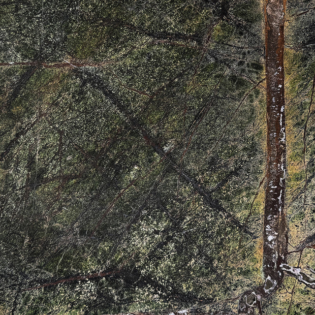 Forest Green Marble Polished Swatch