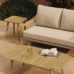 N1 Light Teak Two Seater Sofa, Coffee Table and Side Table